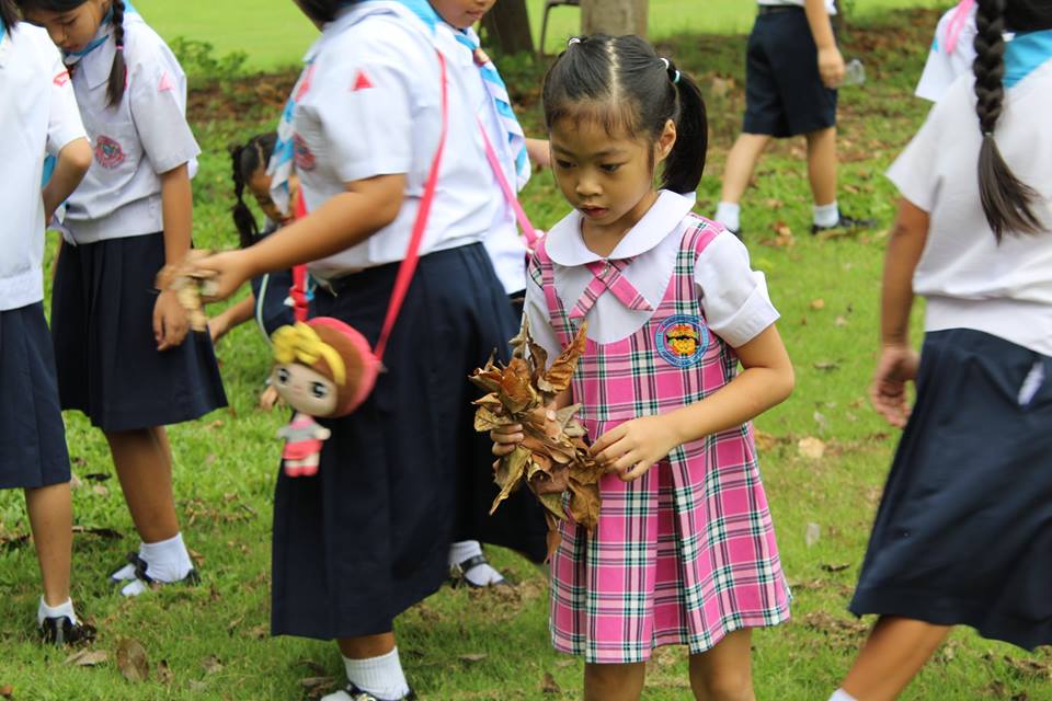 image12